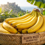 Alanya Muzu (Dalından Taze) KG